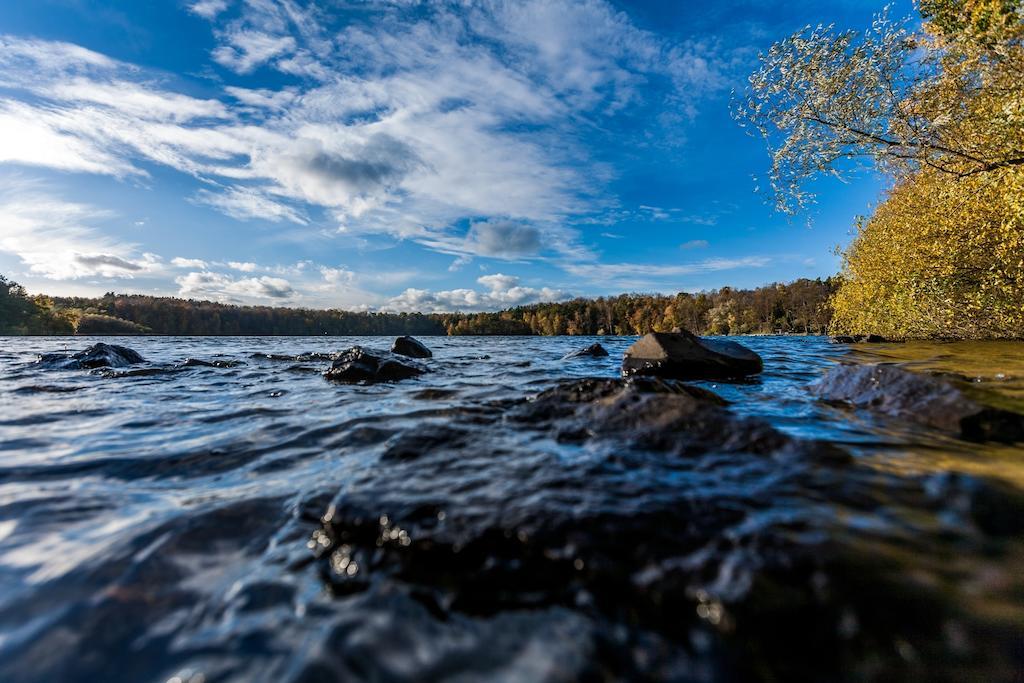 Haus Am See B&B Борнхайм Экстерьер фото